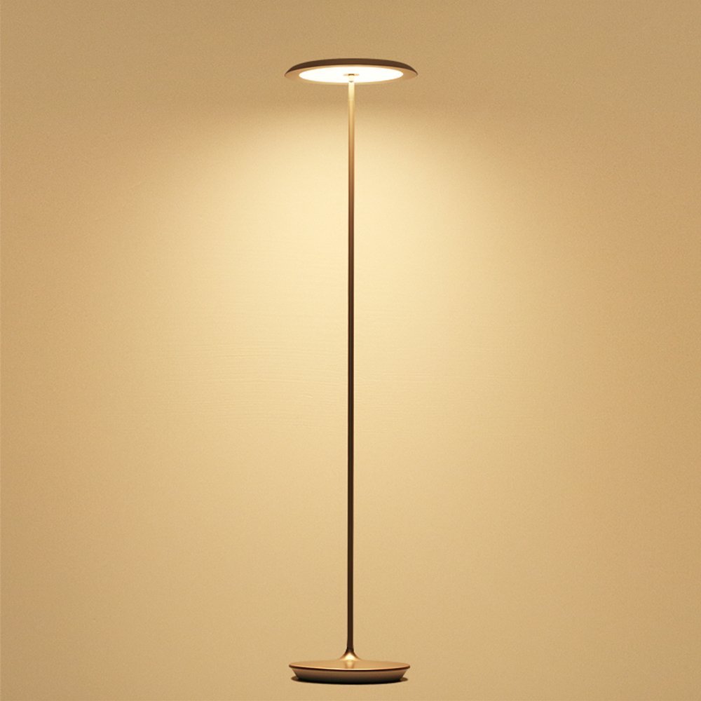 45040 Hue Muscari 15w 55w Led 2700k Metal Floor Lamp 不包括hue Dimmer Bridge Exclu