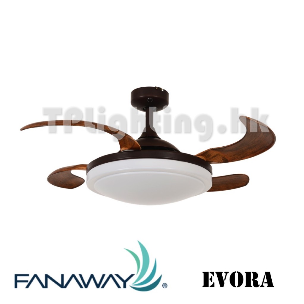 Fanaway EVORA 36 inches ORB 512120