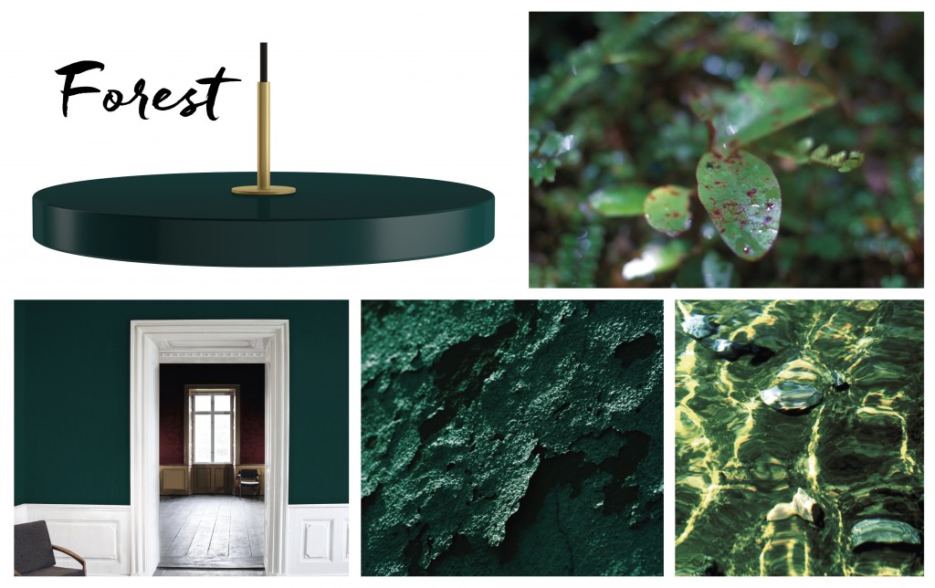 Asteria_Moodboard_forest_300dpi